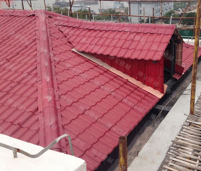 起裝飾作用的老虎窗