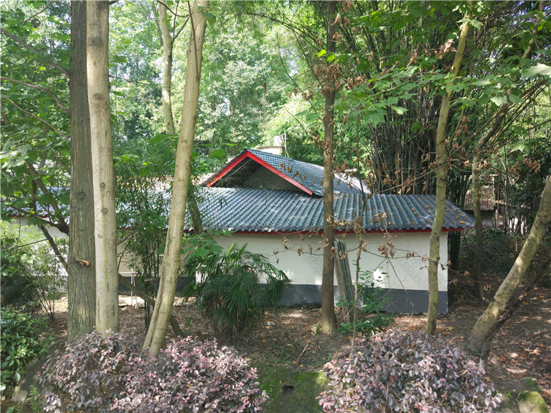 人字型屋面效果圖