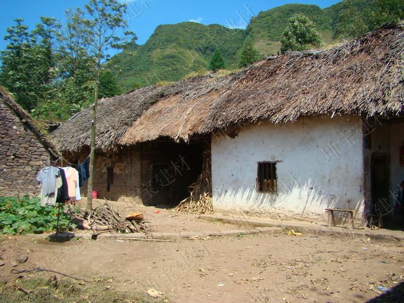 秸稈瓦蓋的“茅草房”,美得簡直不像樣!