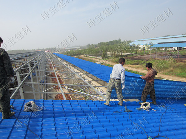 養(yǎng)殖場(chǎng)用秸稈瓦,防腐耐候更耐用!