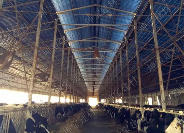 養(yǎng)殖場(chǎng)用秸稈瓦,防腐耐候更耐用!