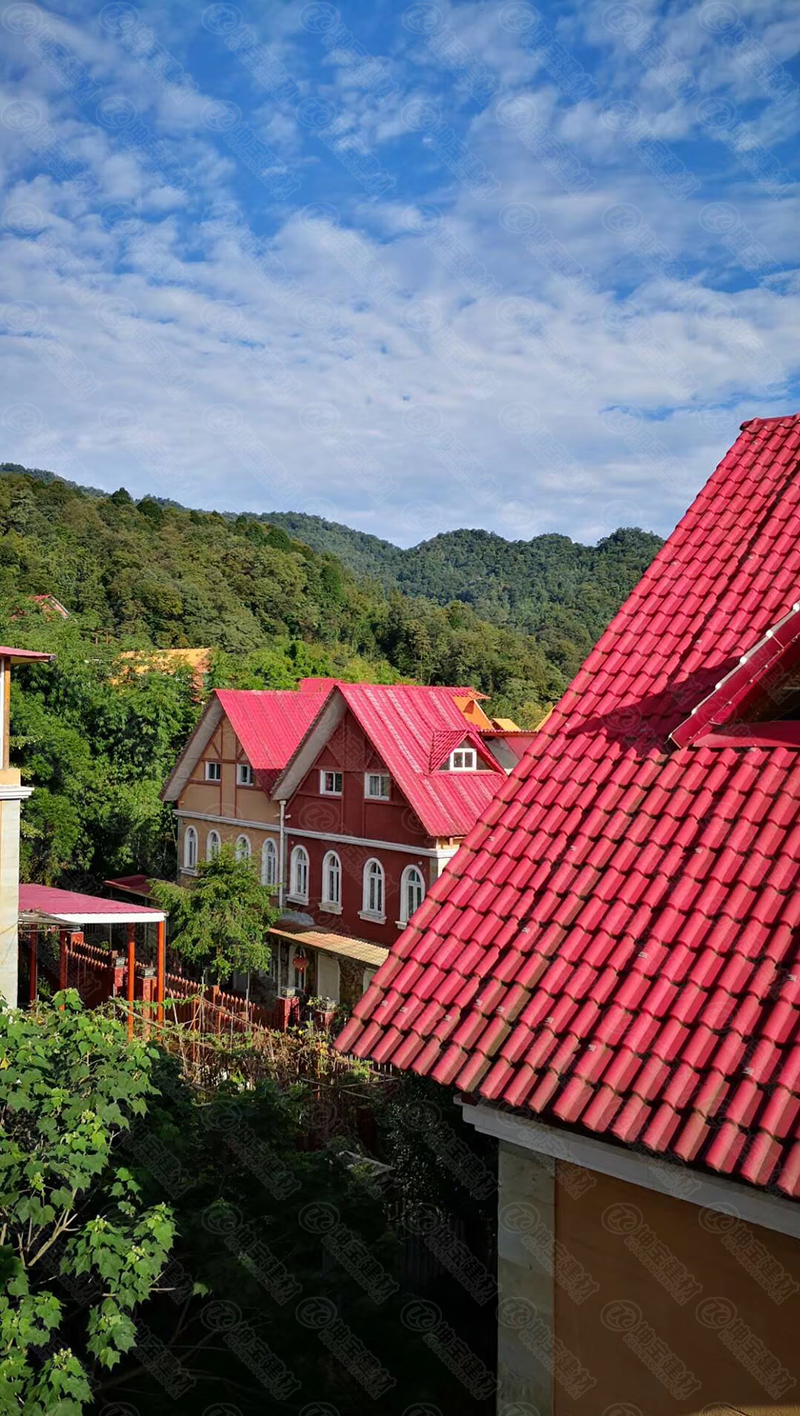 10年后的樹脂瓦屋面 10年后的樹脂瓦屋面