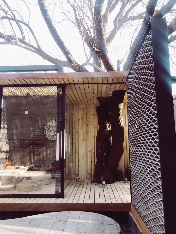 1550651350296026.jpg 調(diào)整大小 8_大樹與茶室的媾和-沈楨.jpg