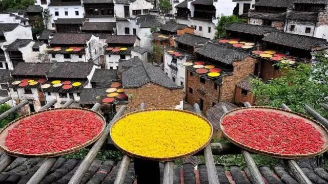 中國***美的鄉村景色,看看有你的家鄉嗎