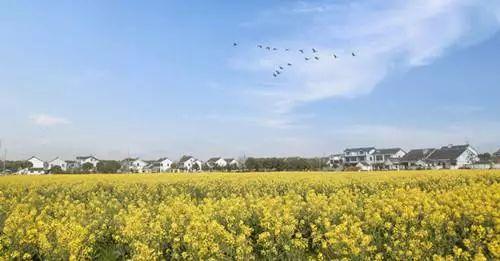 中國***美的鄉村景色,看看有你的家鄉嗎