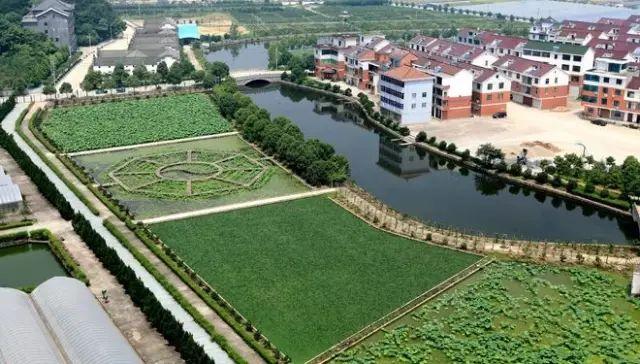 中國***美的鄉村景色,看看有你的家鄉嗎