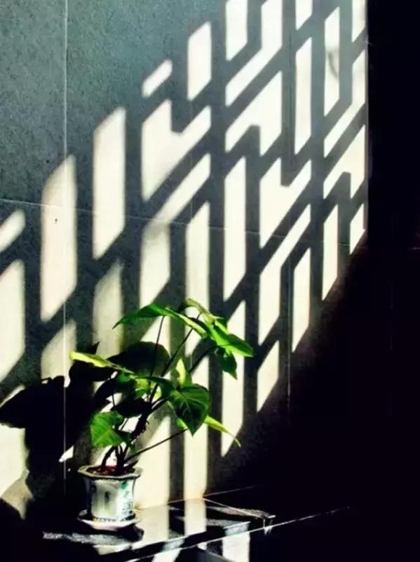 這樣的院子,只有中國人駕馭得了它!