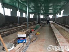 新建養殖場,用彩鋼瓦怎么樣?對養殖有影響嗎?